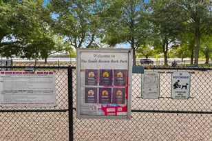 8 Spring Garden St, Boston, MA 02125 - Photo 32