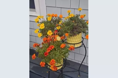 292 Massachusetts 28 #7, Harwich, MA 02671 - Photo 4