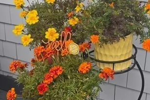 292 Massachusetts 28, Harwich, MA 02671 - Photo 4