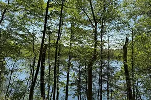 108 Dudley Rd, Wayland, MA 01778 - Photo 1