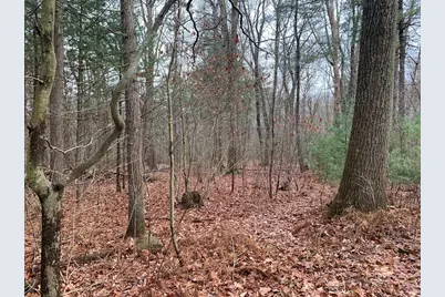 767 Stony Hill Rd, Wilbraham, MA 01095 - Photo 4