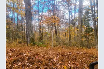 Lot 18 Pierce Road, Peru, MA 01235 - Photo 2