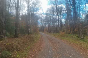 Lot 18 Pierce Rd, Peru, MA 01235 - Photo 1