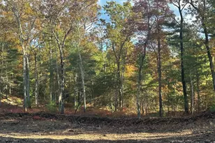 0 Fall Ln, Franklin, MA 02038 - Photo 4