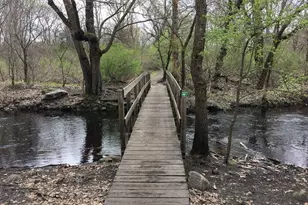 109 Trapelo, Waltham, MA 02452 - Photo 18