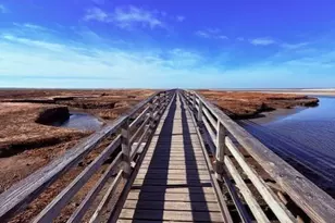 371 Route 6A, Yarmouth, MA 02675 - Photo 42