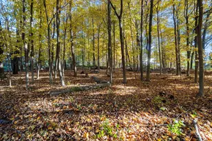 463 Edmands Rd, Framingham, MA 01701 - Photo 8