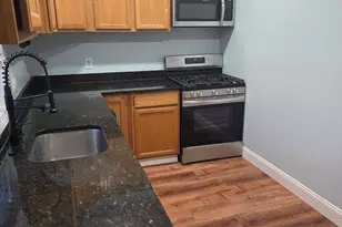 102 Mt Pleasant Ave, Boston, MA 02119 - Photo 1