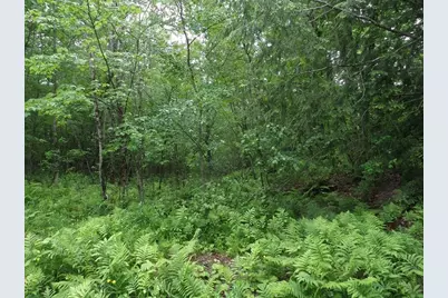 333 Ranney Corner Rd, Ashfield, MA 01330 - Photo 12