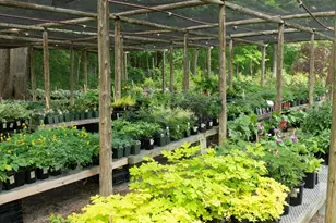 373 N Franklin St, Holbrook, MA 02343 - Photo 2