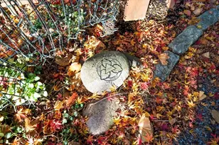 373 N Franklin St, Holbrook, MA 02343 - Photo 40