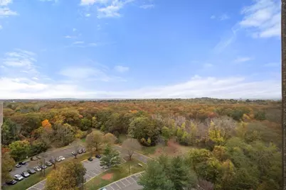 250 Hammond Pond Parkway #1604N, Newton, MA 02467 - Photo 6