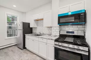 20 Rockville Park, Boston, MA 02119 - Photo 10