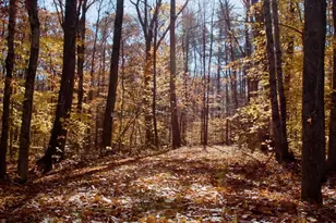 764 E Hill Rd, New Marlboro, MA 01230 - Photo 8