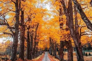 10 Maple St, Plainfield, MA 01070 - Photo 6