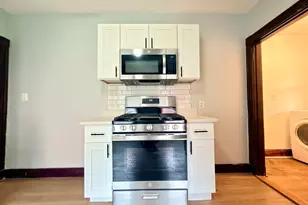 18 Harold Park, Boston, MA 02119 - Photo 38