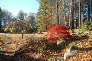 96 Forest Ridge Rd, Concord, MA 01742 - Photo 32