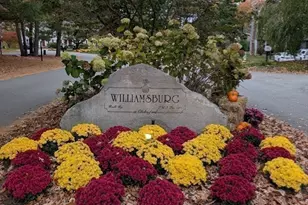 251 Wellman Ave, Chelmsford, MA 01863 - Photo 34