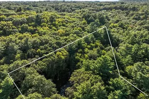 41 Orchard Ave, Weston, MA 02493 - Photo 4