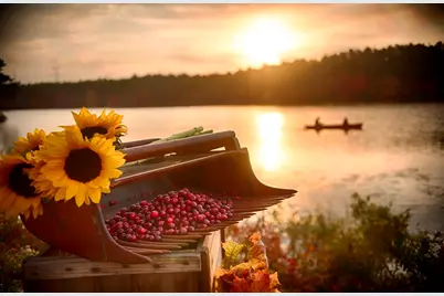 5 Daylily Dr, Plymouth, MA 02360 - Photo 22