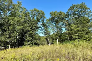 20 Nature Vw Dr, Wrentham, MA 02093 - Photo 14