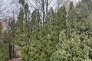 351 County Rd, Barrington, RI 02806 - Photo 10