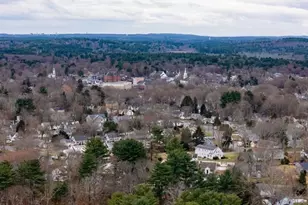 21 Winter St, Medfield, MA 02052 - Photo 42