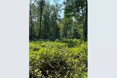 183 SE Main Street, Douglas, MA 01516 - Photo 4