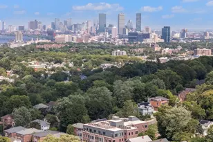 249 Corey Rd, Boston, MA 02135 - Photo 24