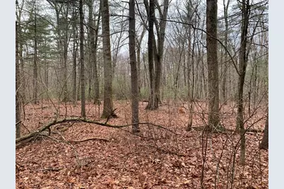 767 Stony Hill Rd, Wilbraham, MA 01095 - Photo 4