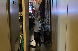 189 Springfield Rd, Westfield, MA 01085 - Photo 10