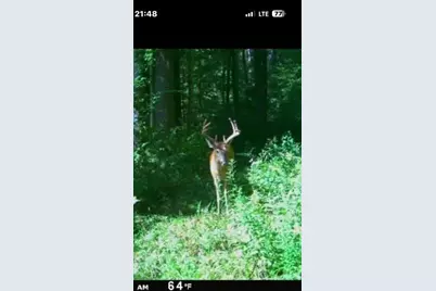 365 Churchill St, Pittsfield, MA 01201 - Photo 6