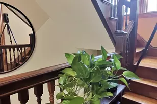 19 Mt Ida Rd, Boston, MA 02122 - Photo 34