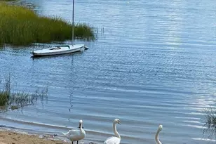 4 Ross Ave, Wareham, MA 02571 - Photo 12