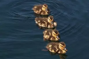 24 Cote Ln, Sutton, MA 01590 - Photo 8