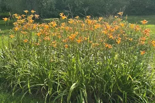 21 Fred Jackson, Southwick, MA 01077 - Photo 18