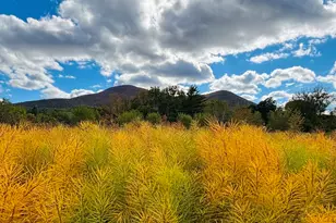 520 State Rd, North Adams, MA 01247 - Photo 20