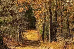 514 Old County Rd, Wales, MA 01081 - Photo 28