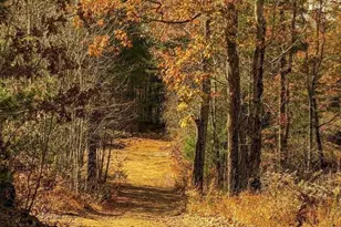 514 Old County Rd, Wales, MA 01081 - Photo 28