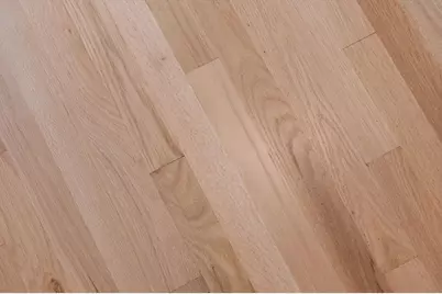 278 Princeton Street #2, Boston, MA 02128 - Photo 24