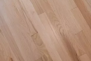 278 Princeton St, Boston, MA 02128 - Photo 24