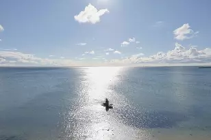 535 Commercial St, Provincetown, MA 02657 - Photo 26