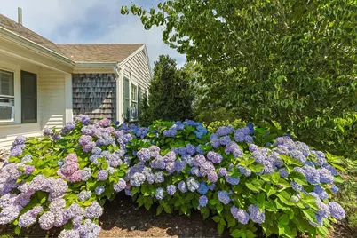 78 Indian Trail, Chatham, MA 02633 - Photo 6