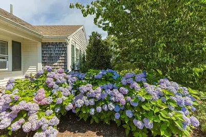 78 Indian Trail, Chatham, MA 02633 - Photo 6