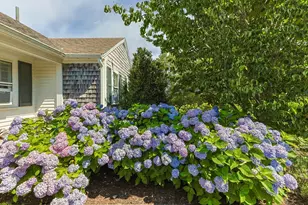 78 Indian Trail, Chatham, MA 02633 - Photo 6