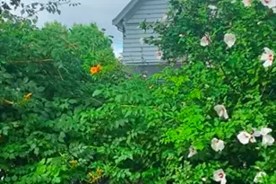 13 Nelson St, Winchester, MA 01890 - Photo 10