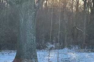 127 Rockland St, Hingham, MA 02043 - Photo 14