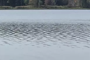 172 Stone Rd, East Brookfield, MA 01515 - Photo 16