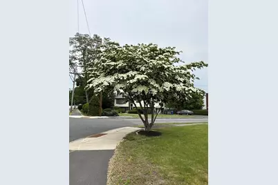 1 Mansfield Dr, Wakefield, MA 01880 - Photo 40