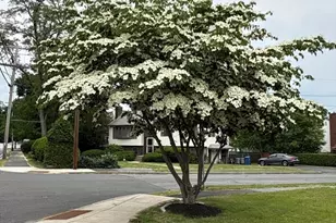 1 Mansfield Dr, Wakefield, MA 01880 - Photo 40